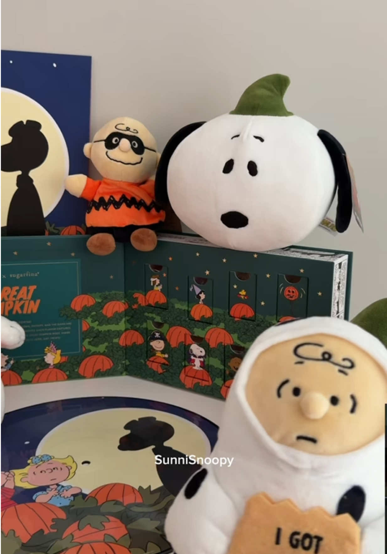 @SunniSnoopy | PEANUTS