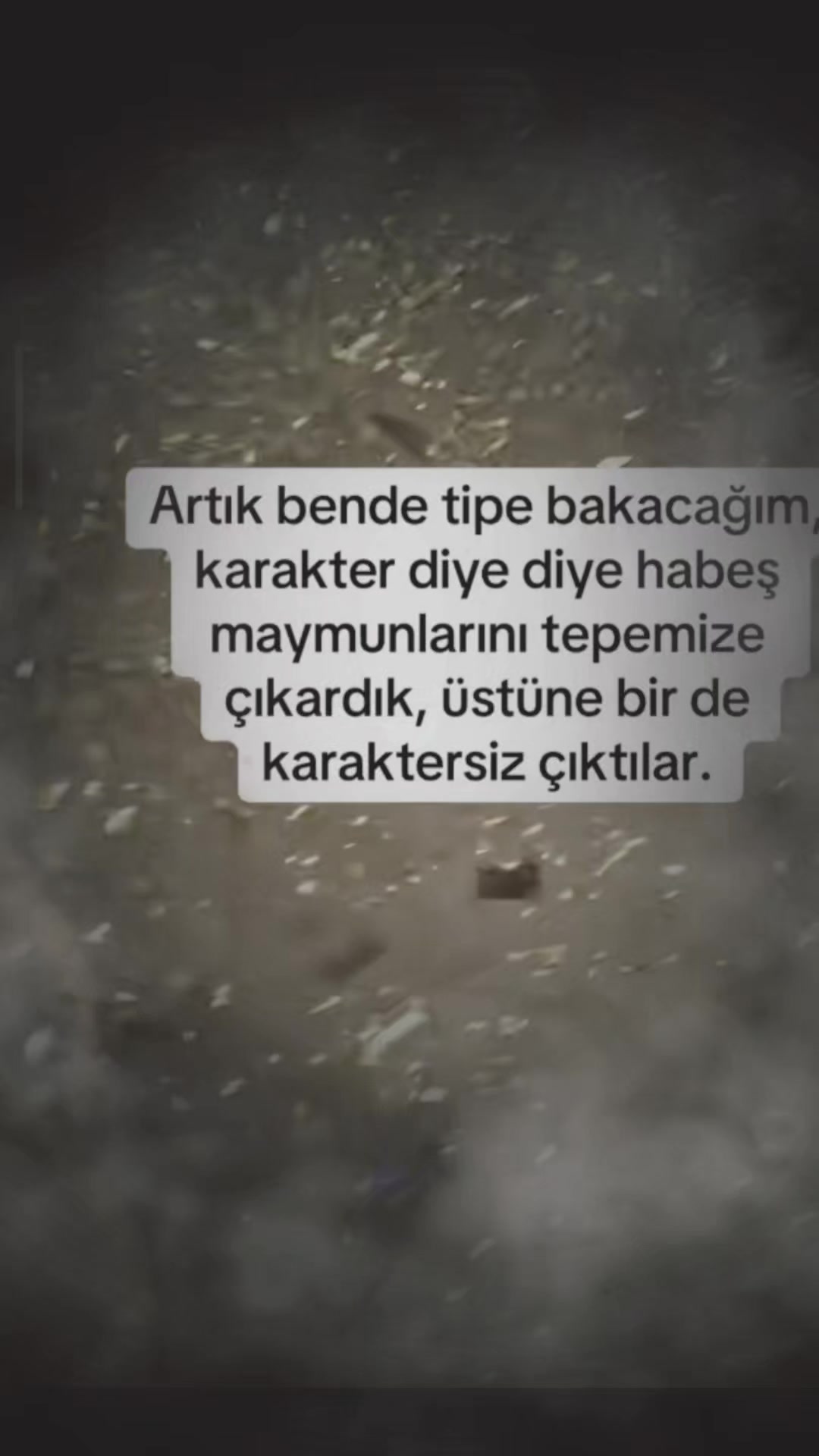 @Sibel Oktay