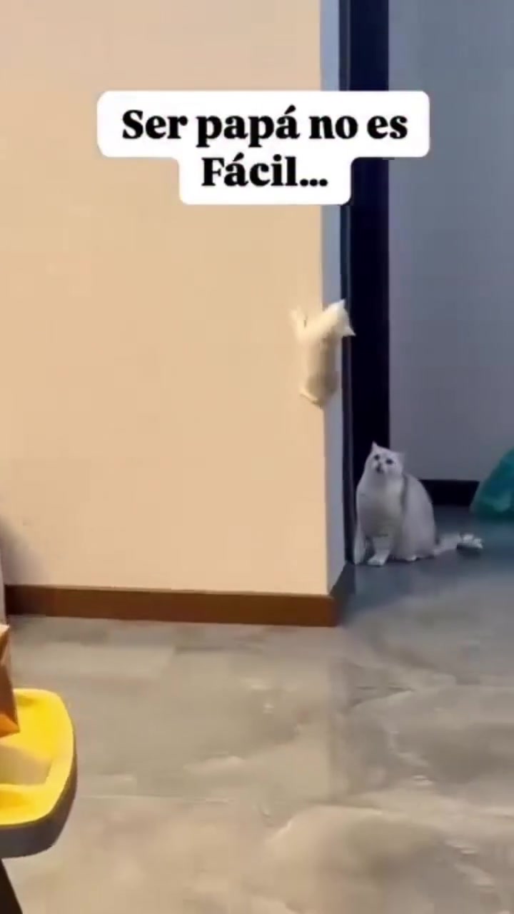@Sárkány Piros