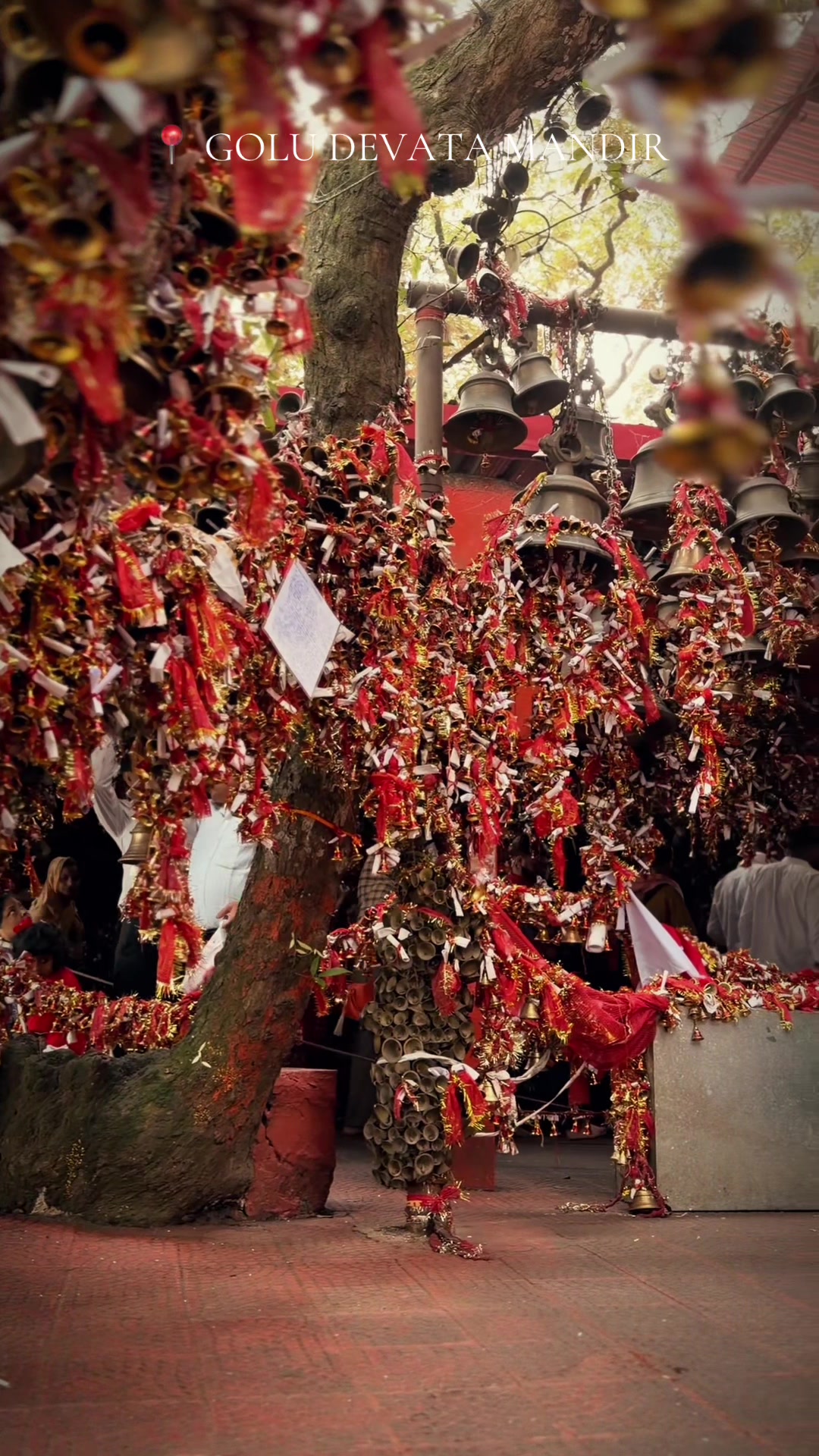 @namirapaudel