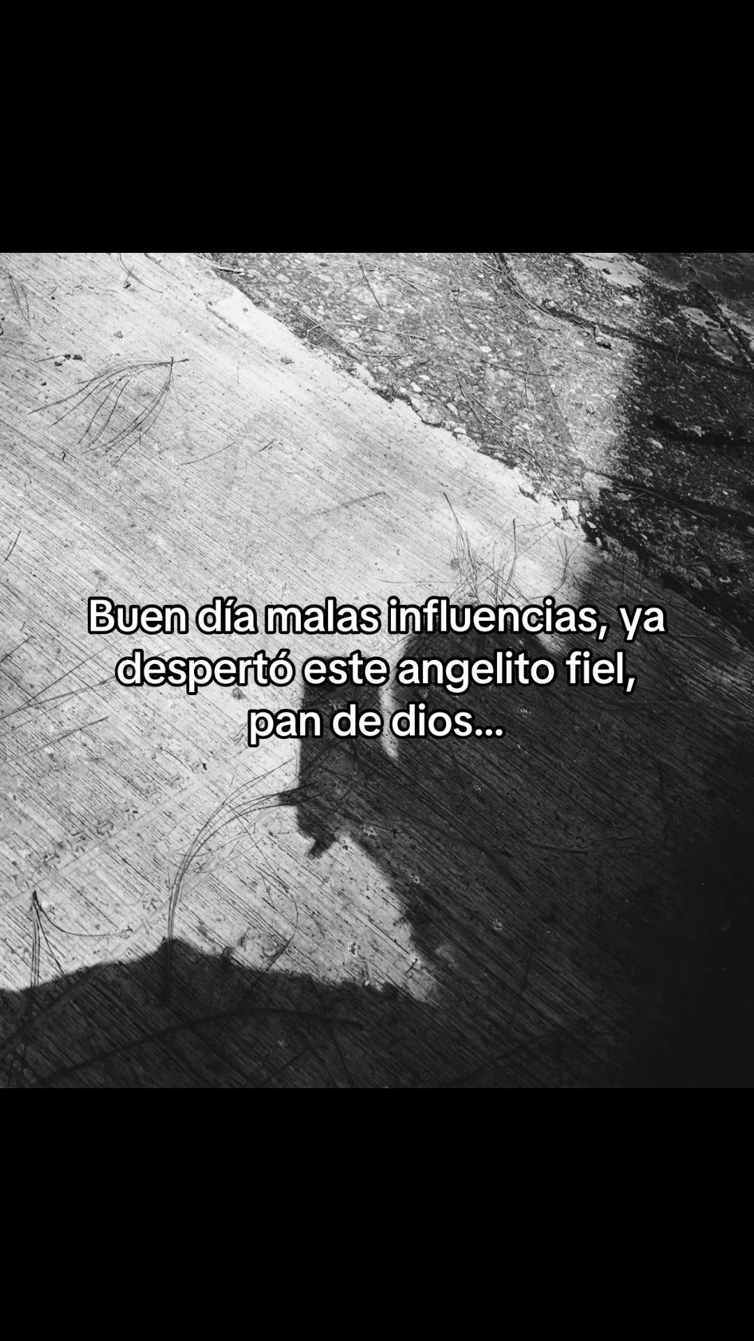 @Usuario No Encontrado.