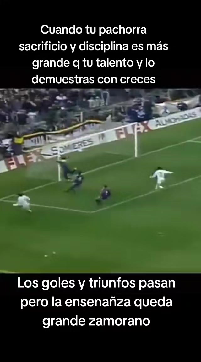 @amo la vida