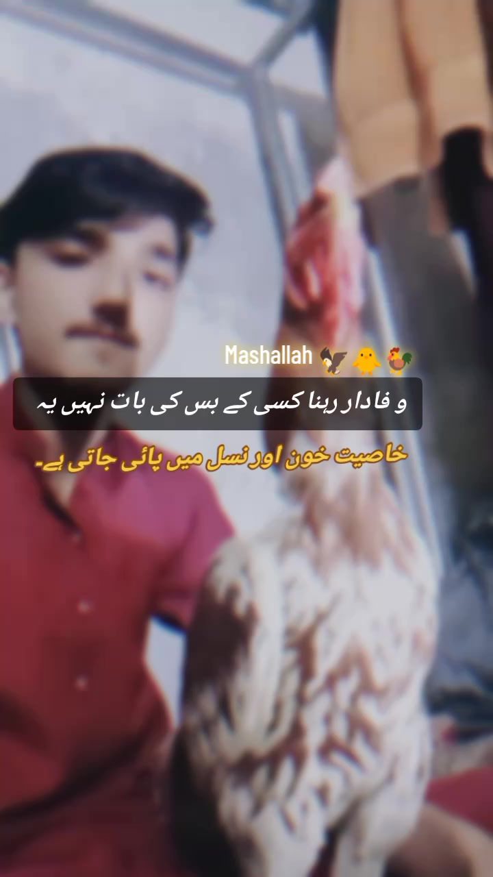 @🅜𝓪.🅚𝓪.🅢𝓱𝓪𝔃𝓪𝓭𝓪