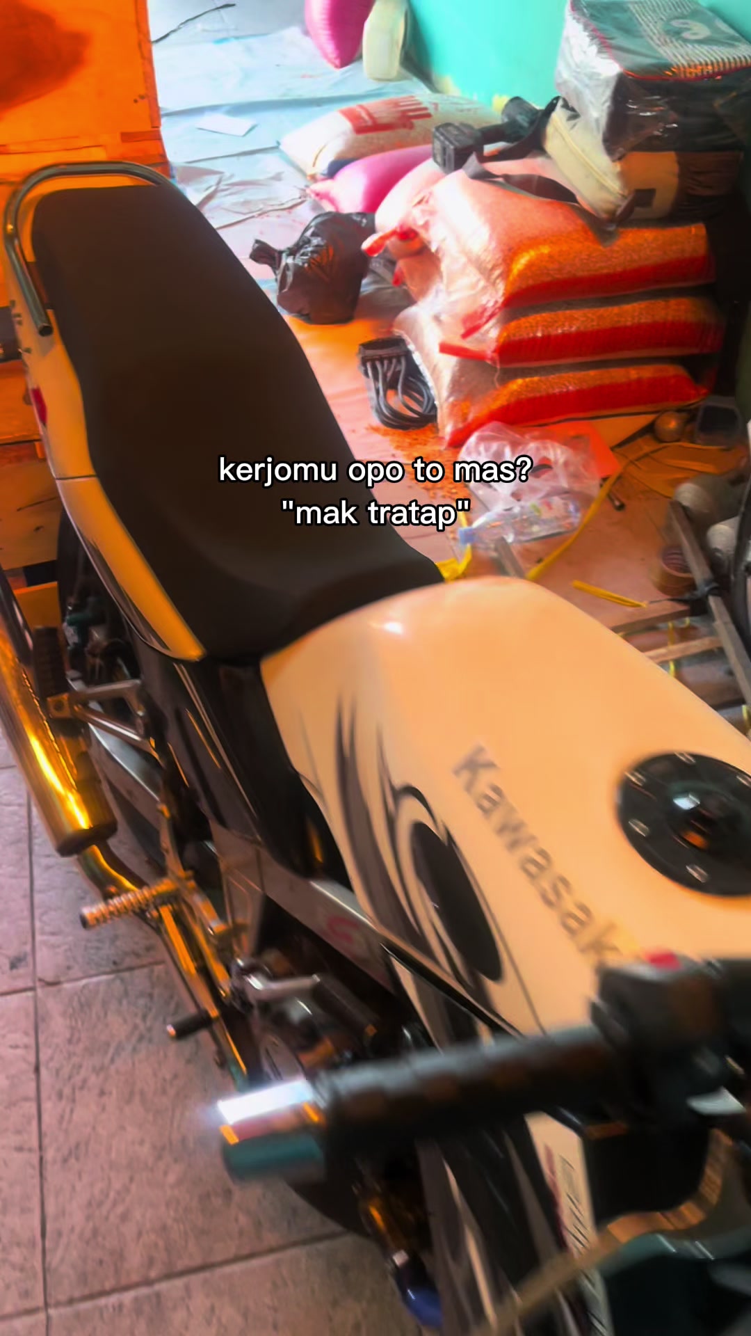 @BIBONGS