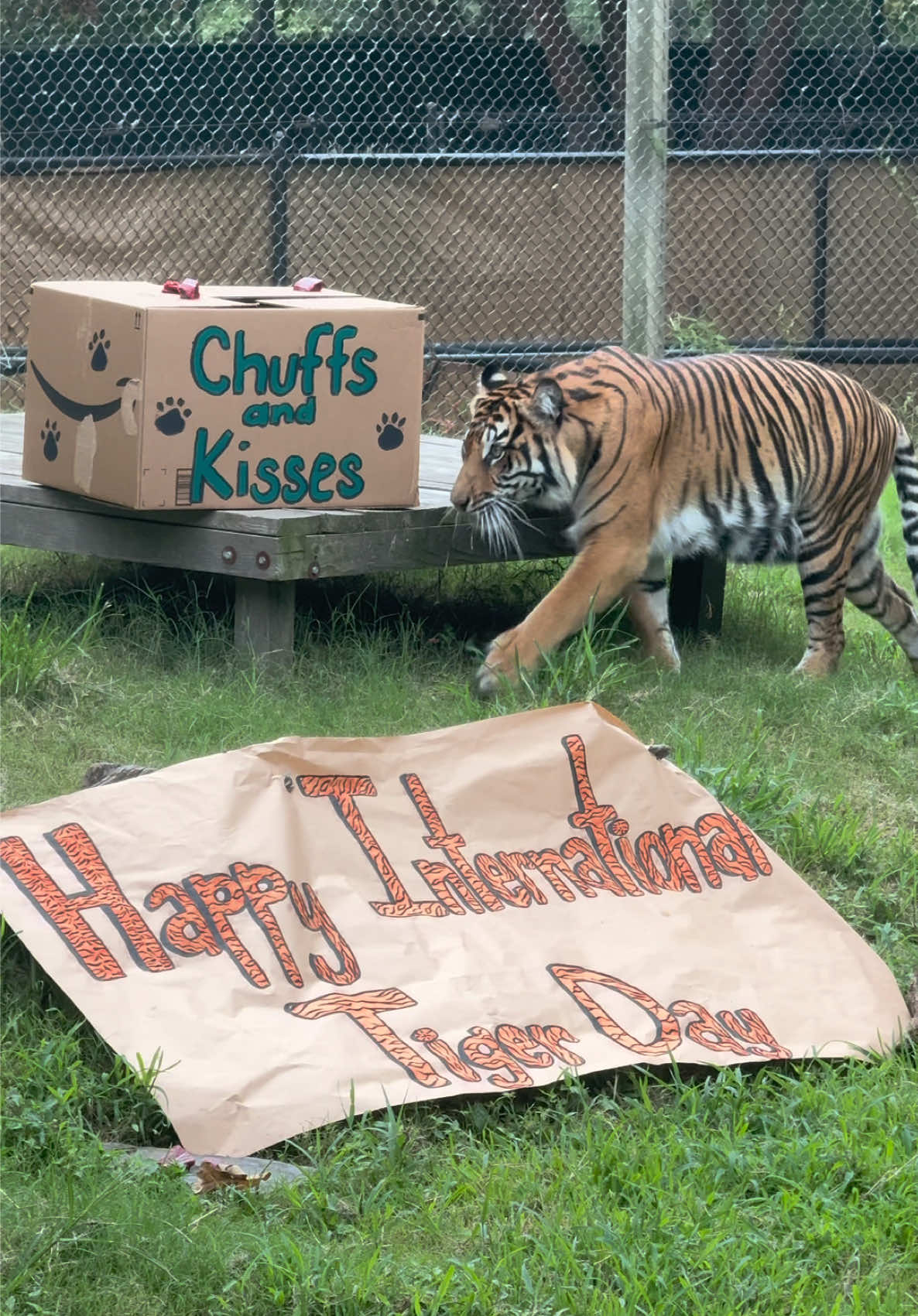 @memphiszoo