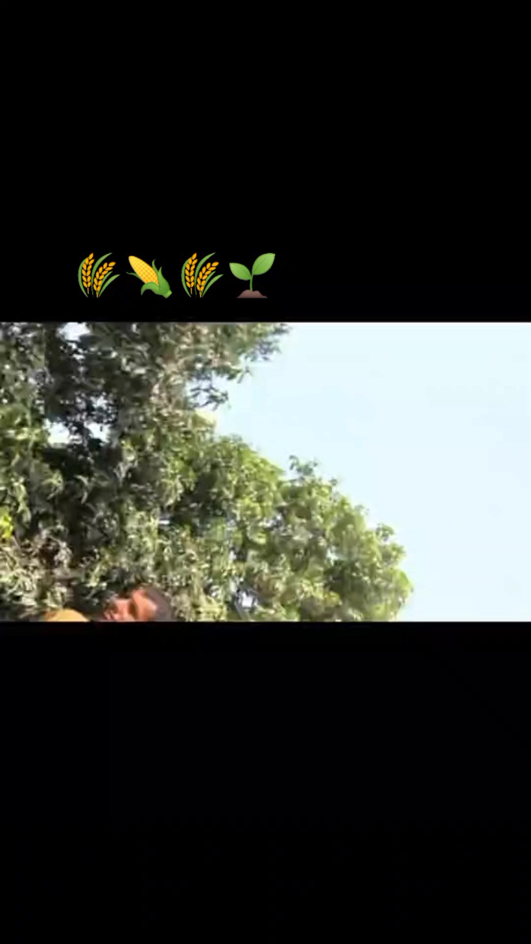@مزمل پینڈو