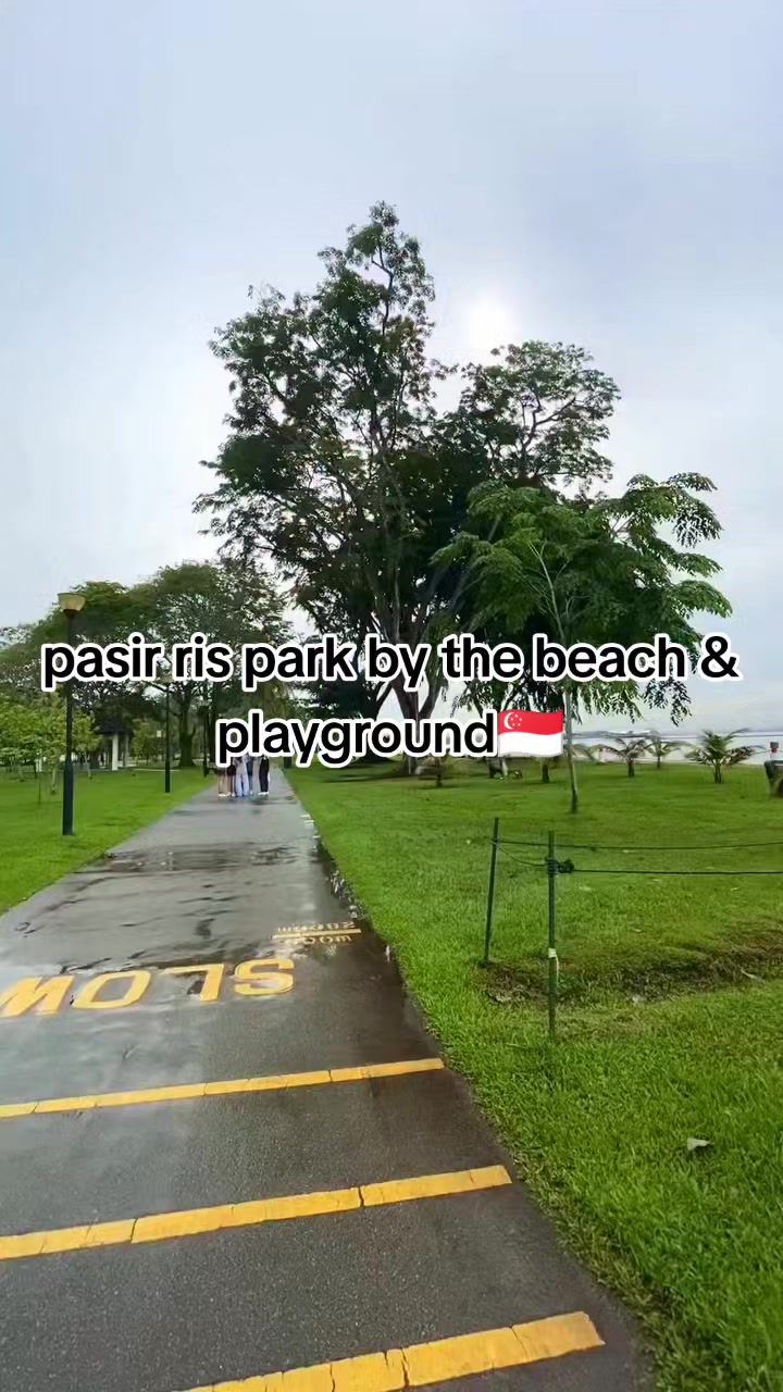 @Mr.mark🇭🇰🇸🇬