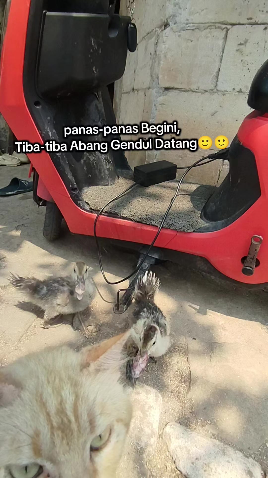 @Shanshan Ngapruk