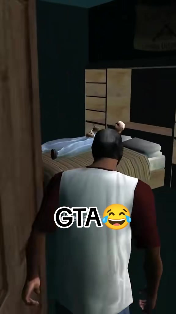 @GTA95 ZOO