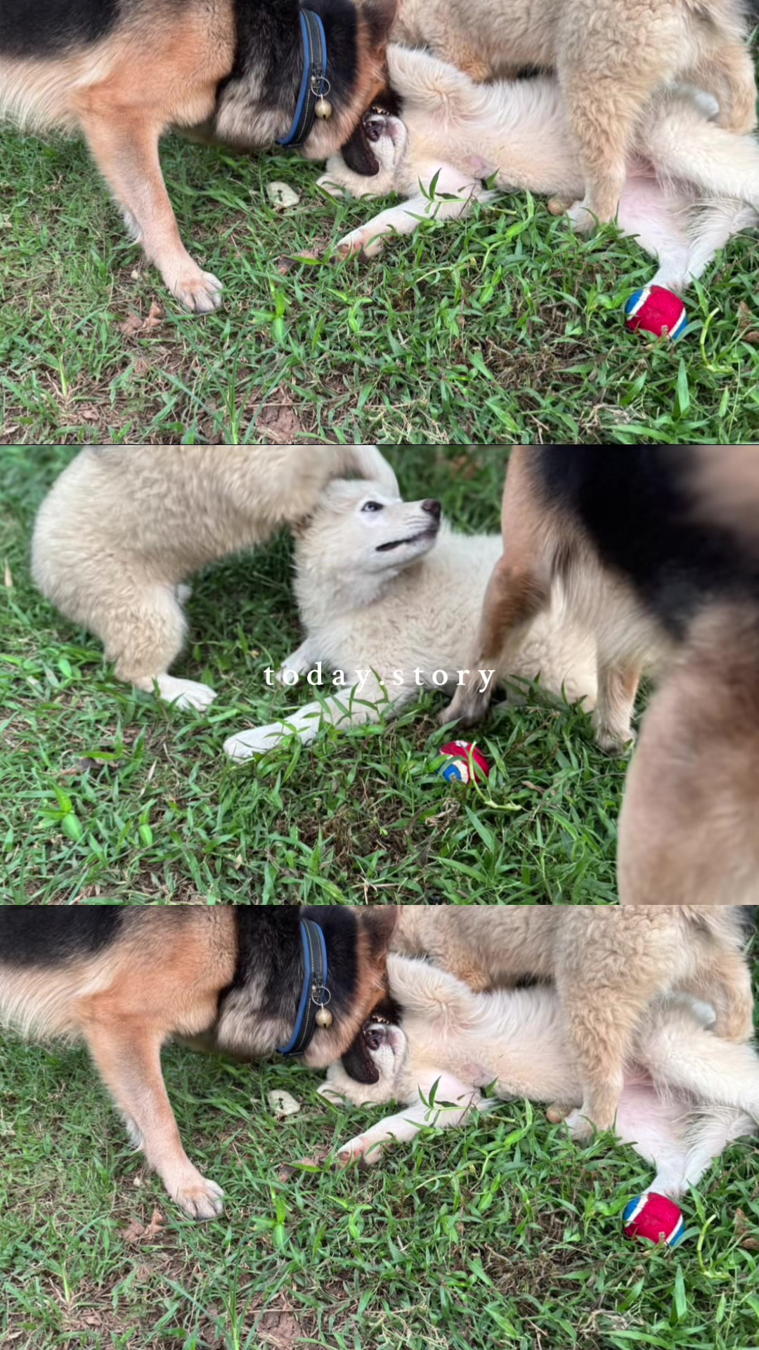 @Intasarn Noi (โมโม่เอง)