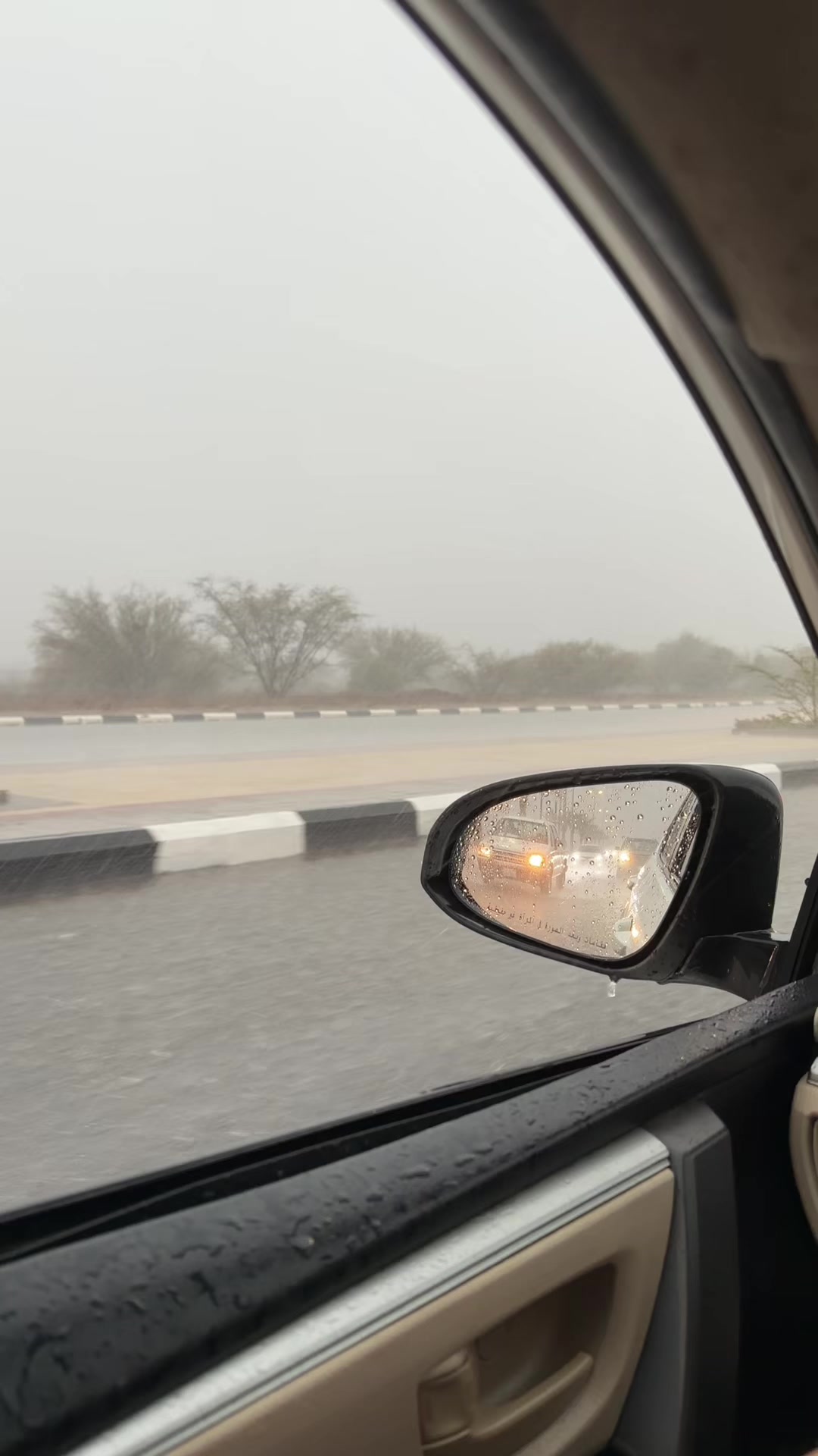 @ريـان | دبدوب 🌷 .