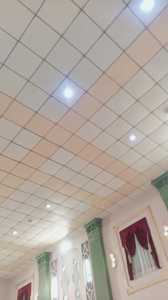 @لاڈلہ 🕷️804