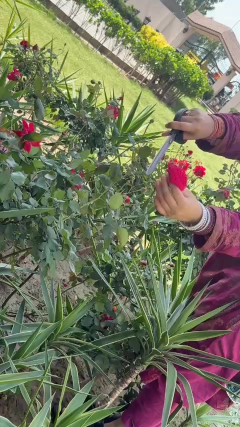 @❤❤