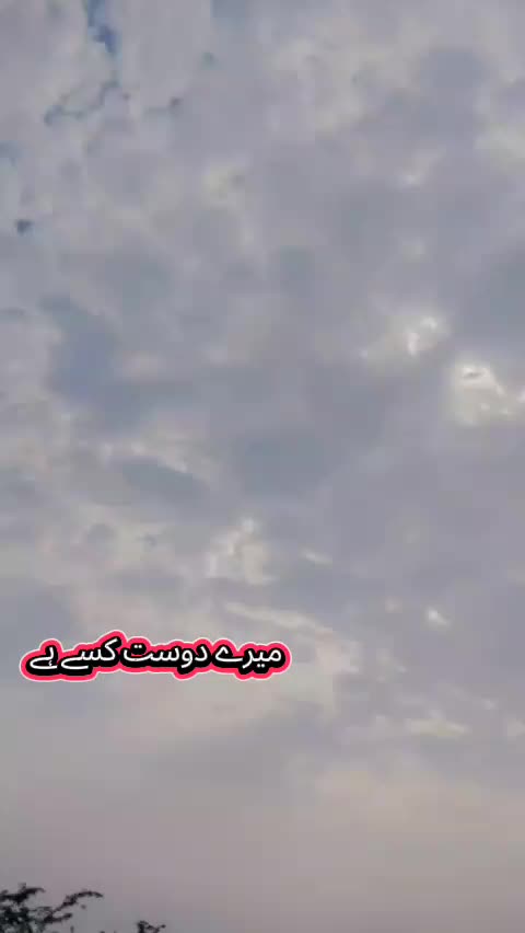 @حبدار علی ساہیوال الا