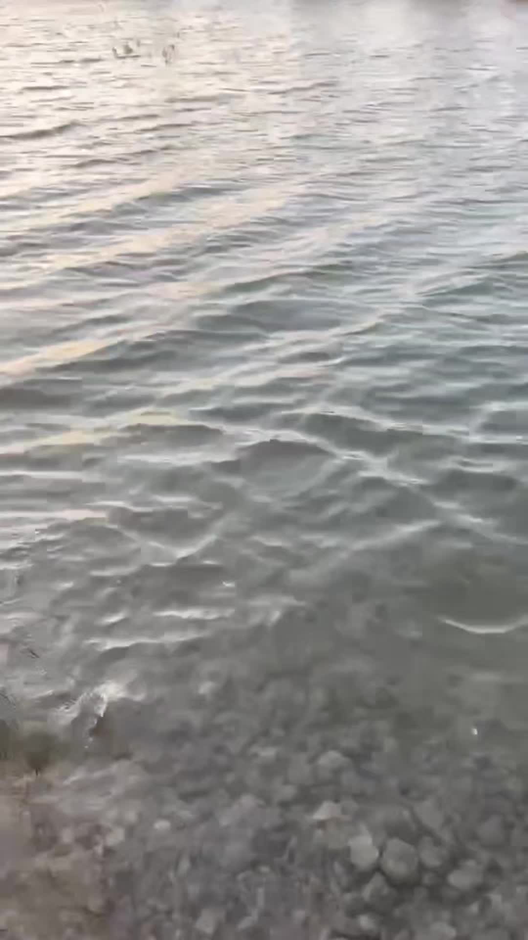 @Саня