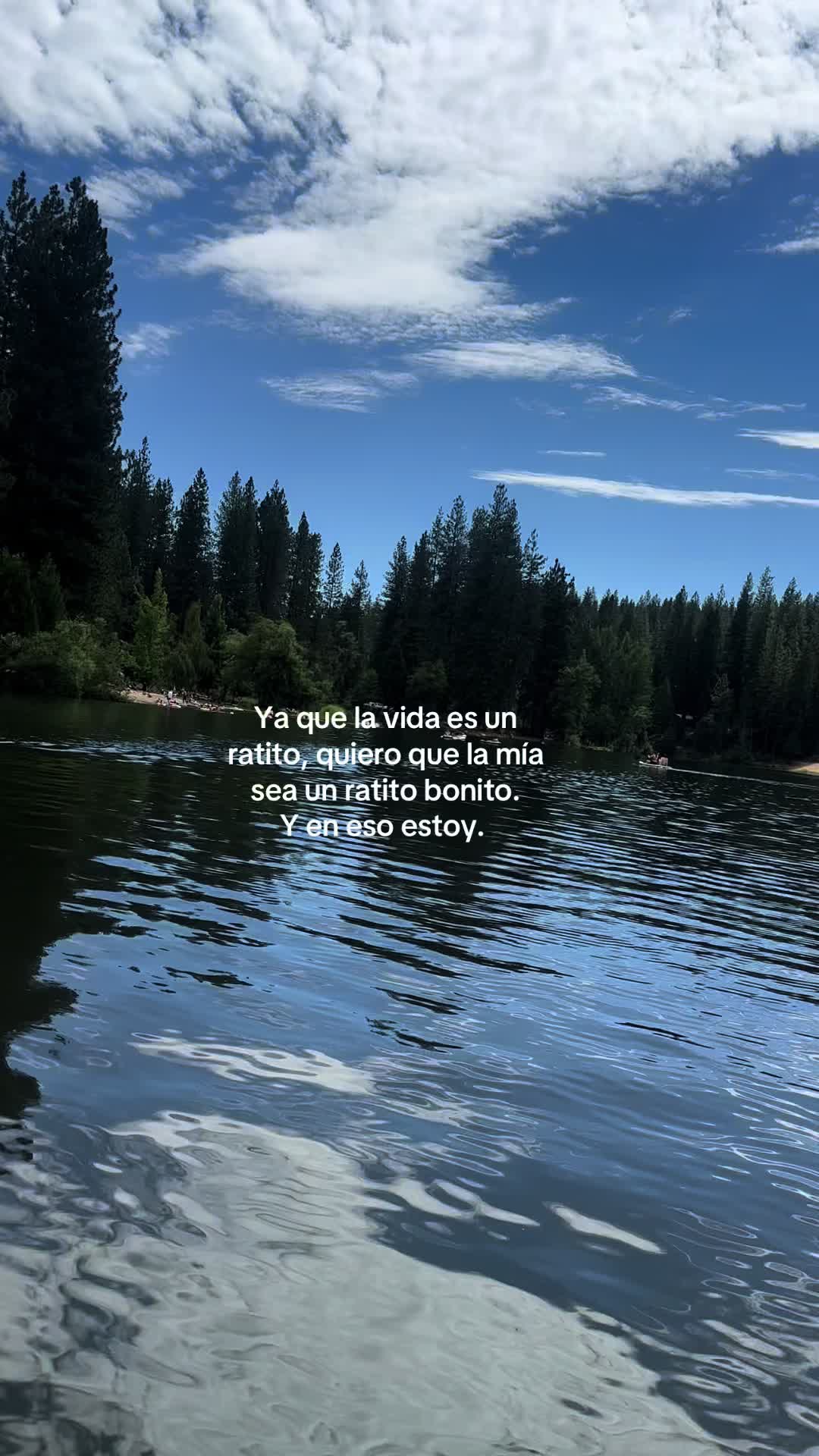 @Marcecii