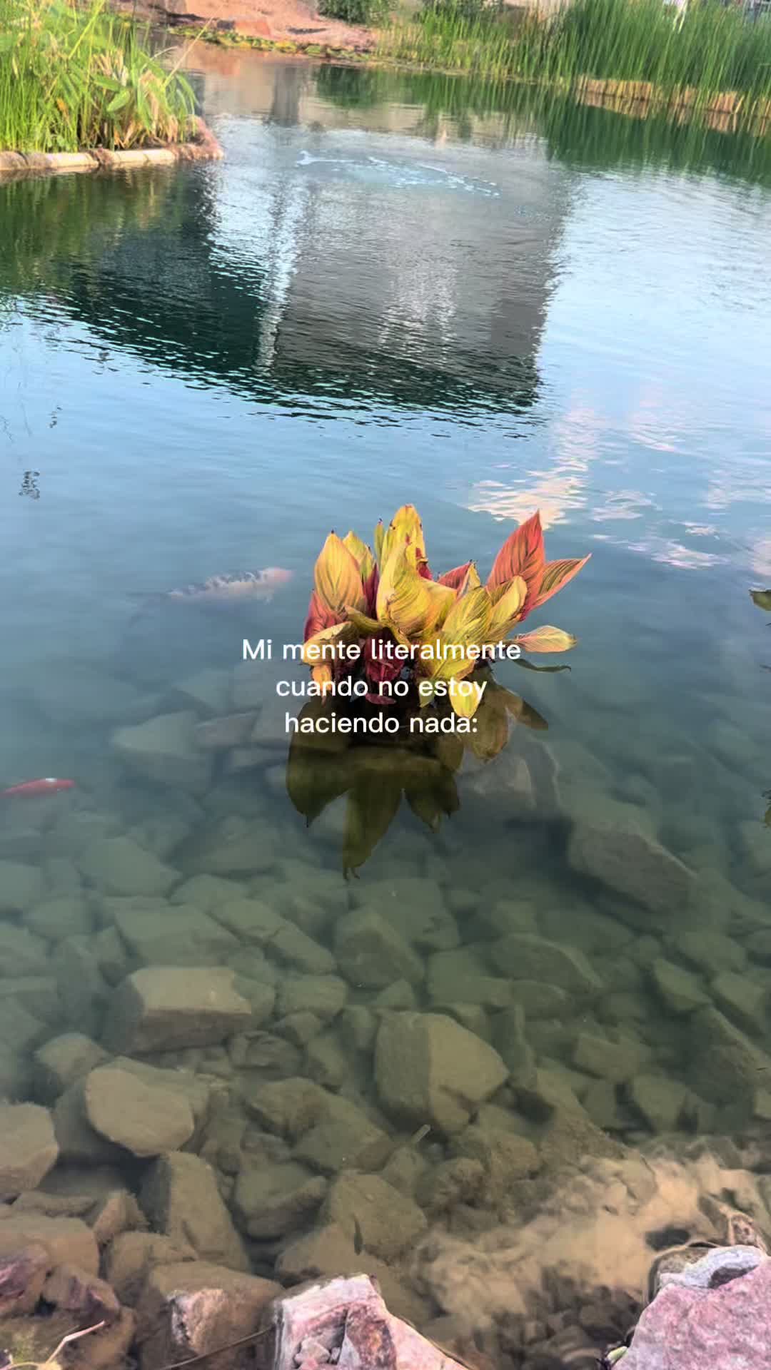 @Eli🌟
