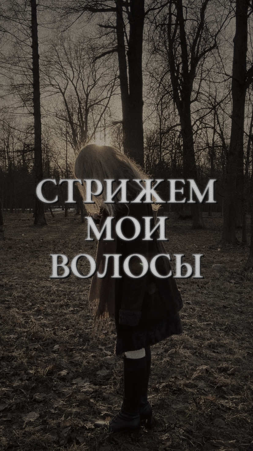 @༒Алиса Белладонна༒