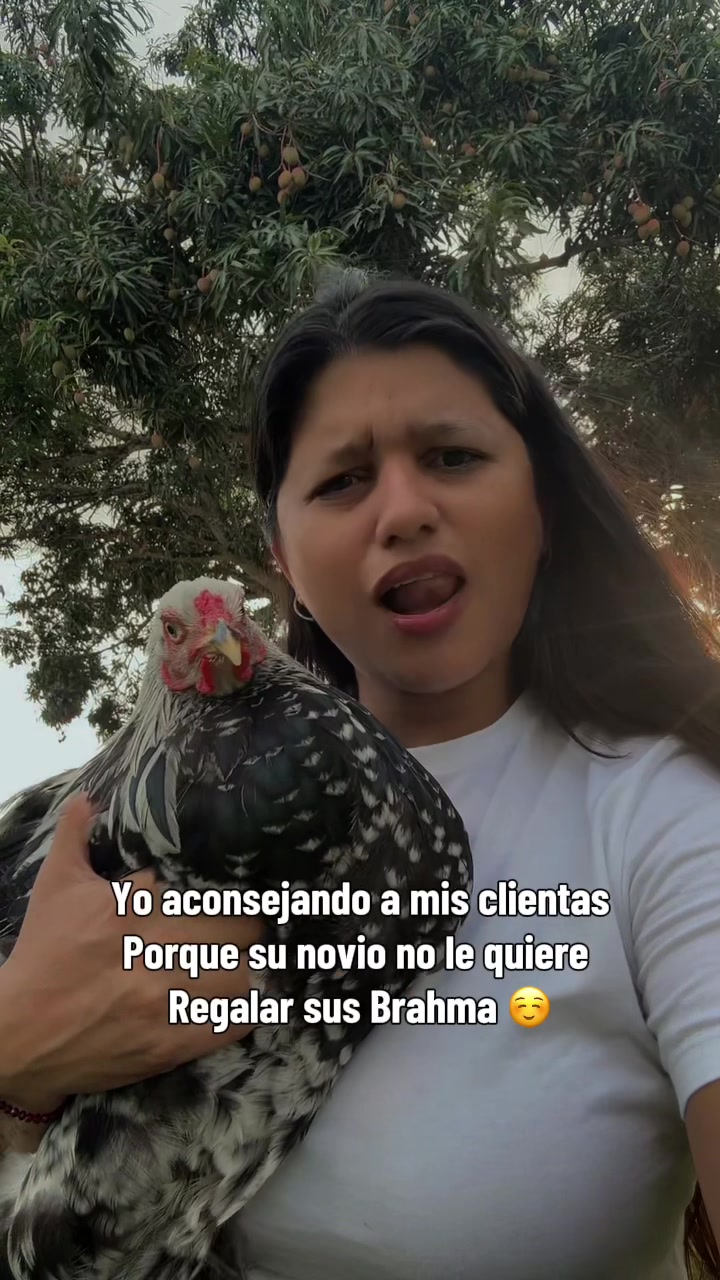@Granjamascotalandiayaracuy