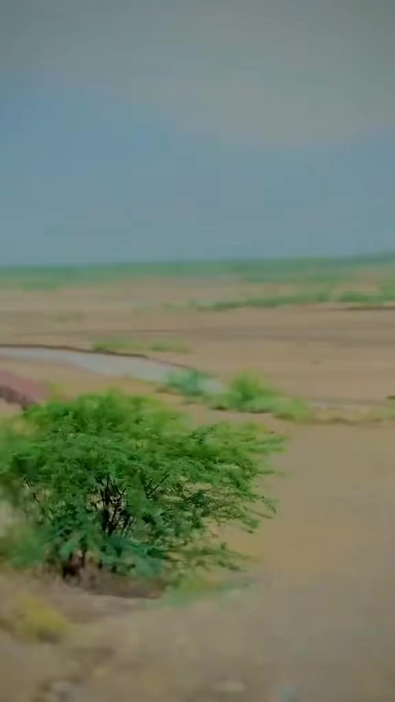 @🦅JAMOT🦅