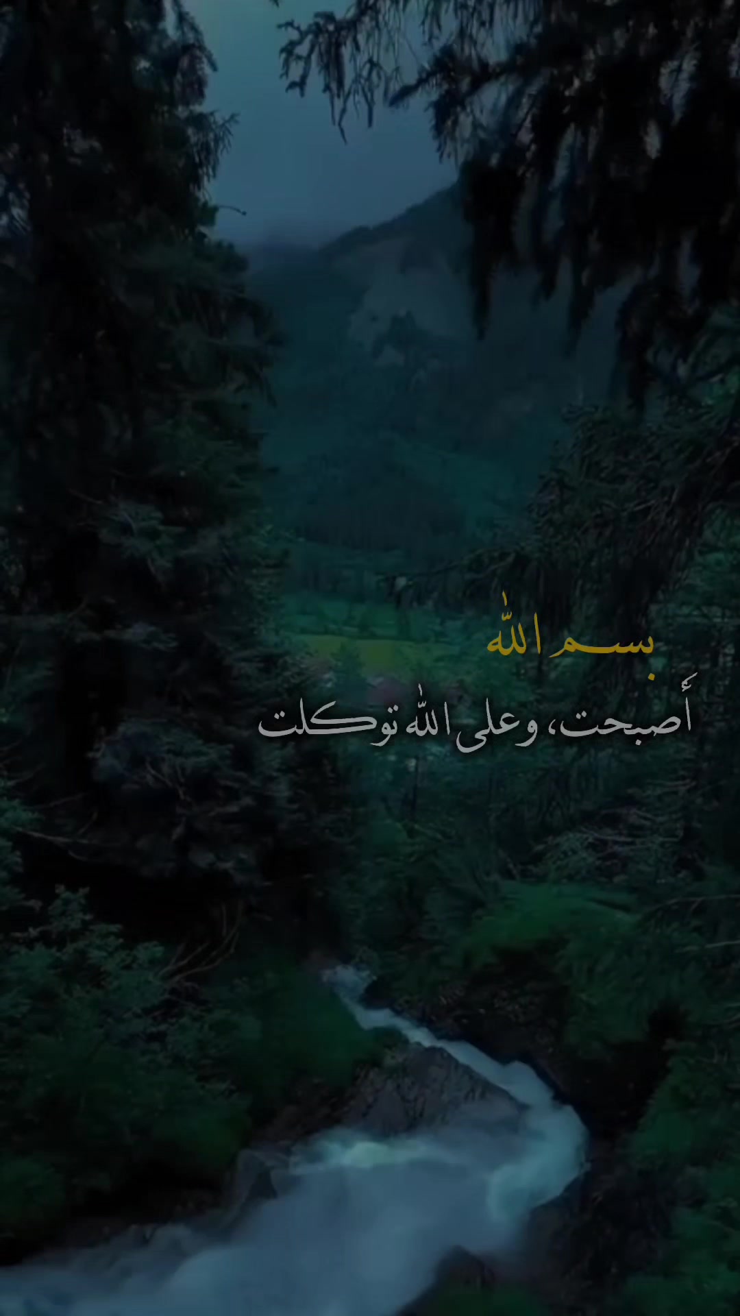 @ابِـن عَـقـيِل||𝟐𝟎𝟎𝟖/
