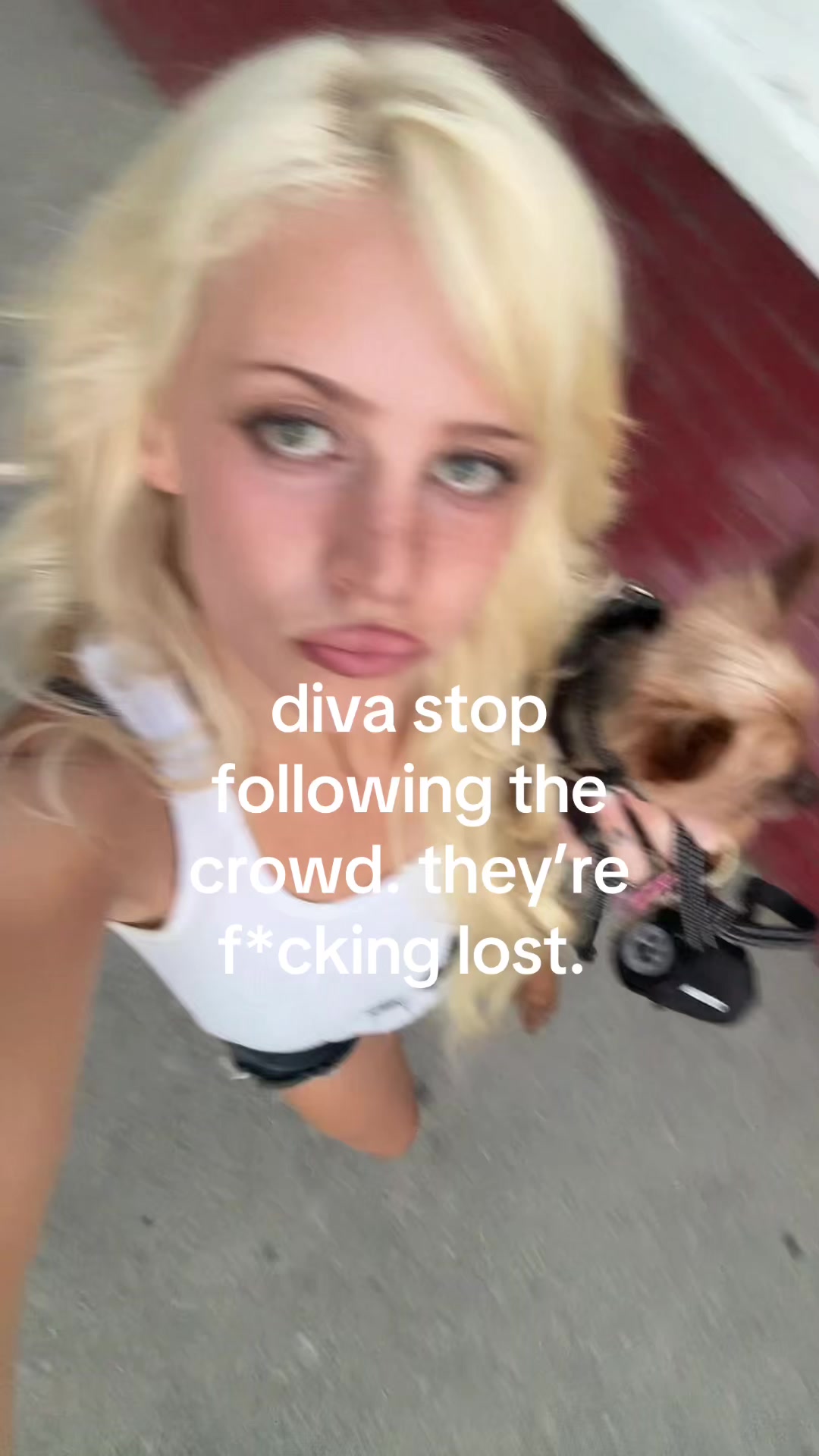 @nikkiekent