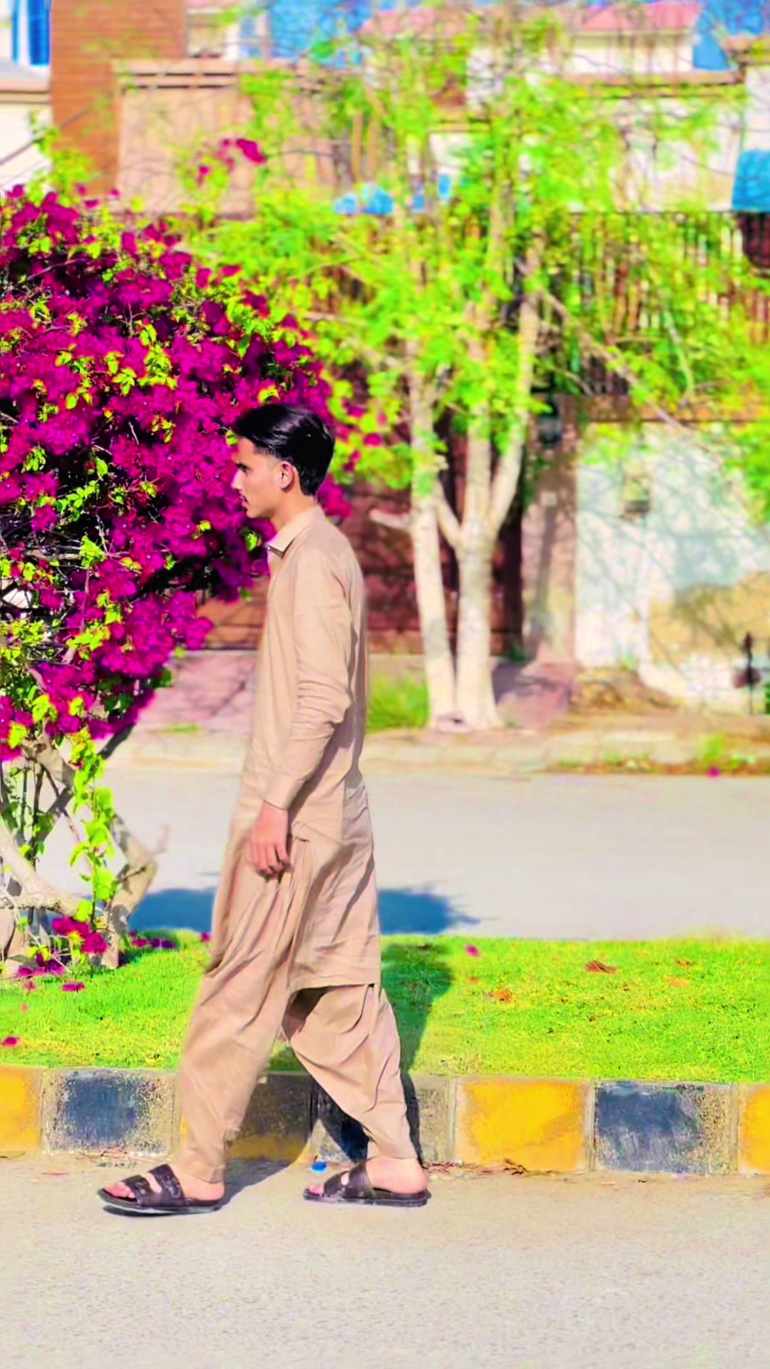 @موسٰی میر
