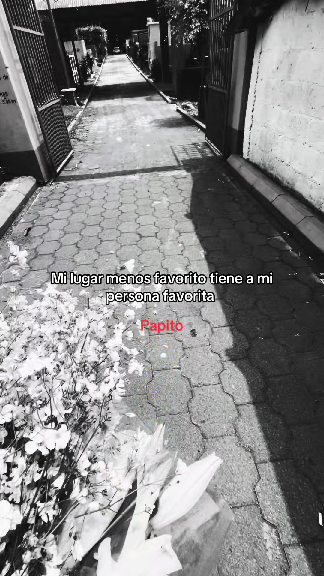 @Usuario No Encontrado.