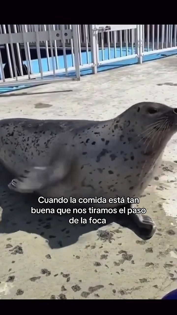 @kiaraaa._.thv