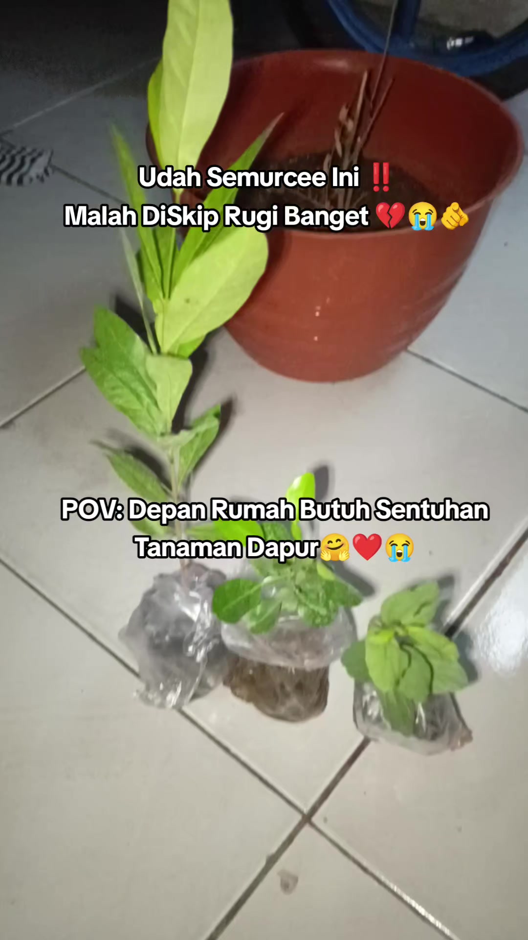 @Pejuang Garis Dua🦋🫶🫰🥀