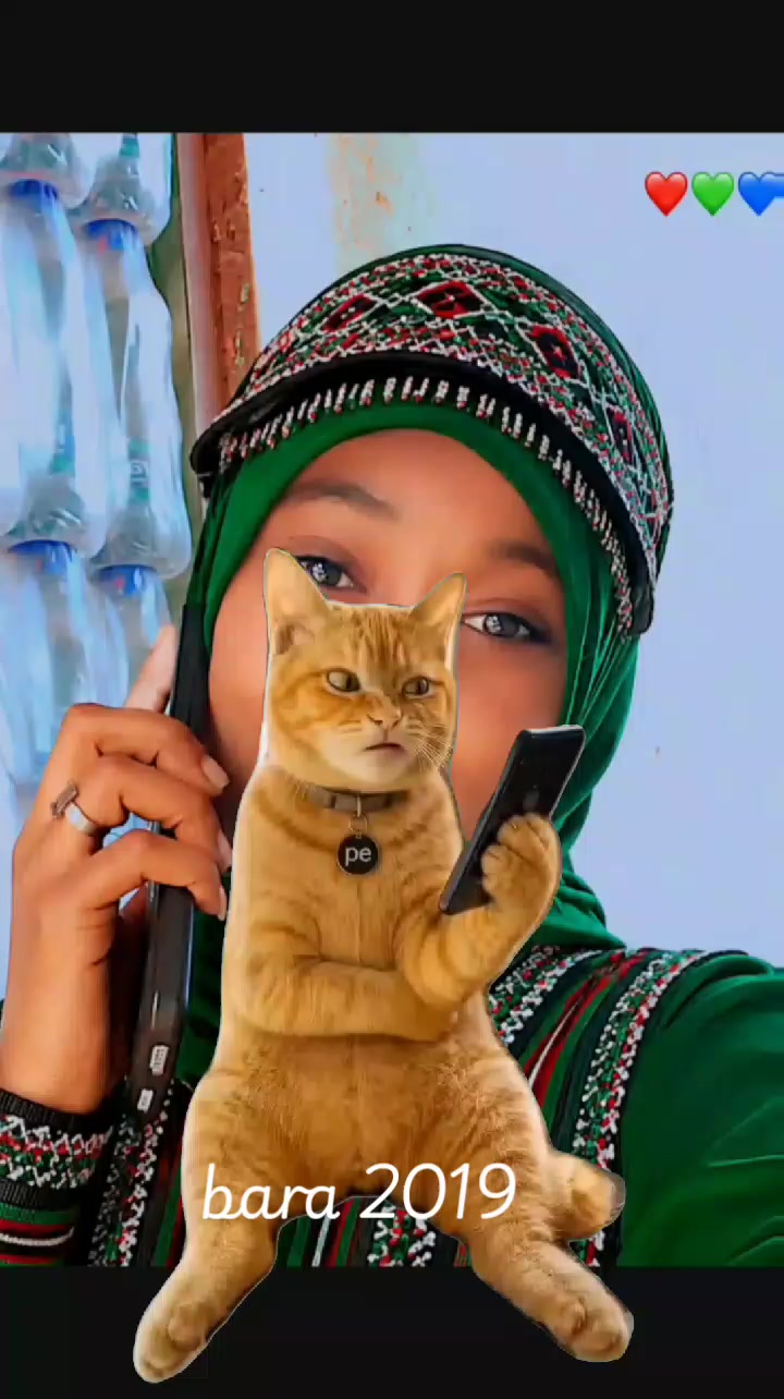 @Sabontuu Arsii