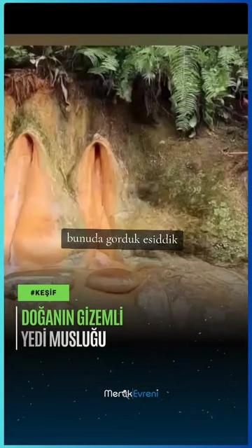 @xeyalrm