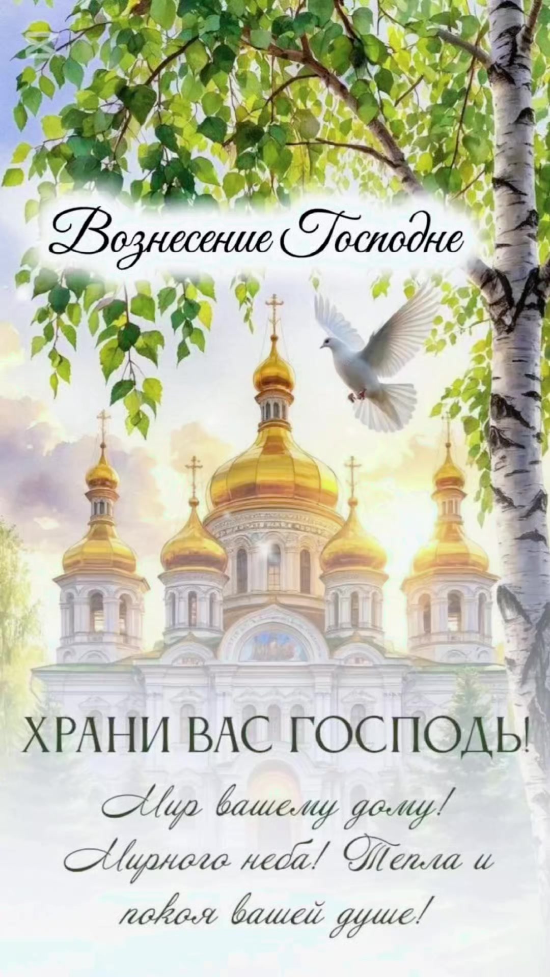 @Masha Orlowskaya