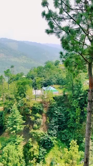 @ABBASi❤️