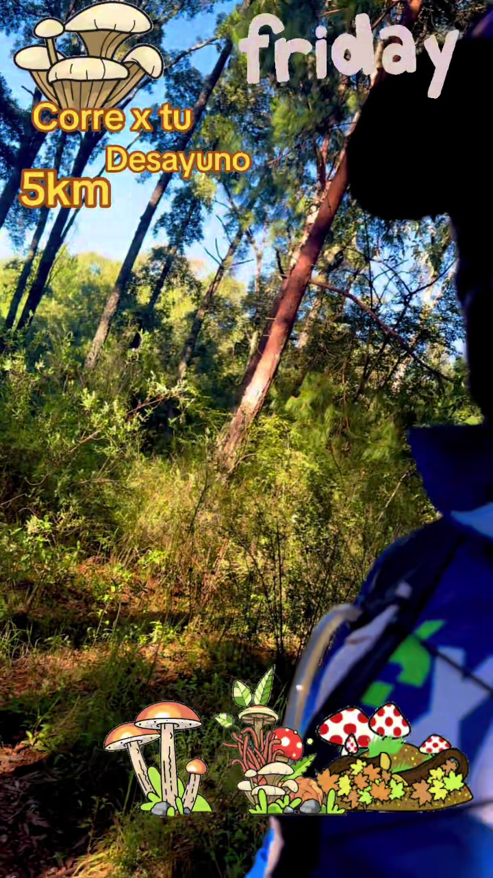 @Caminos y Senderos  Mtb & Camp