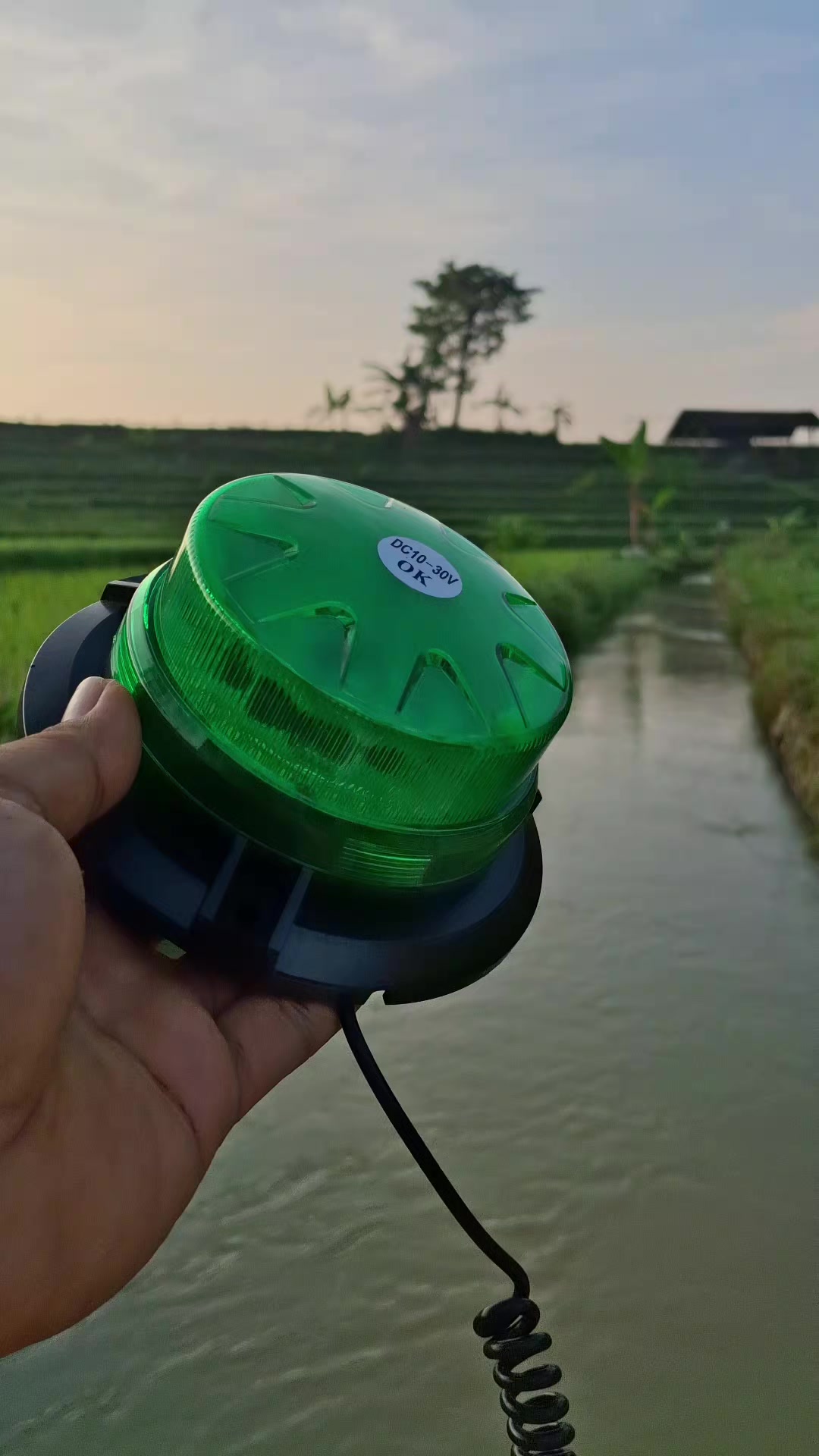 @khalida.led