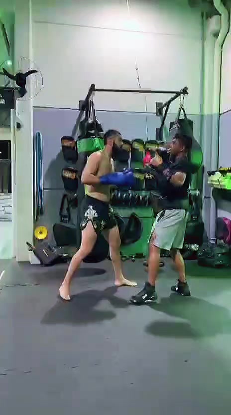 @Alee o brabo🥊
