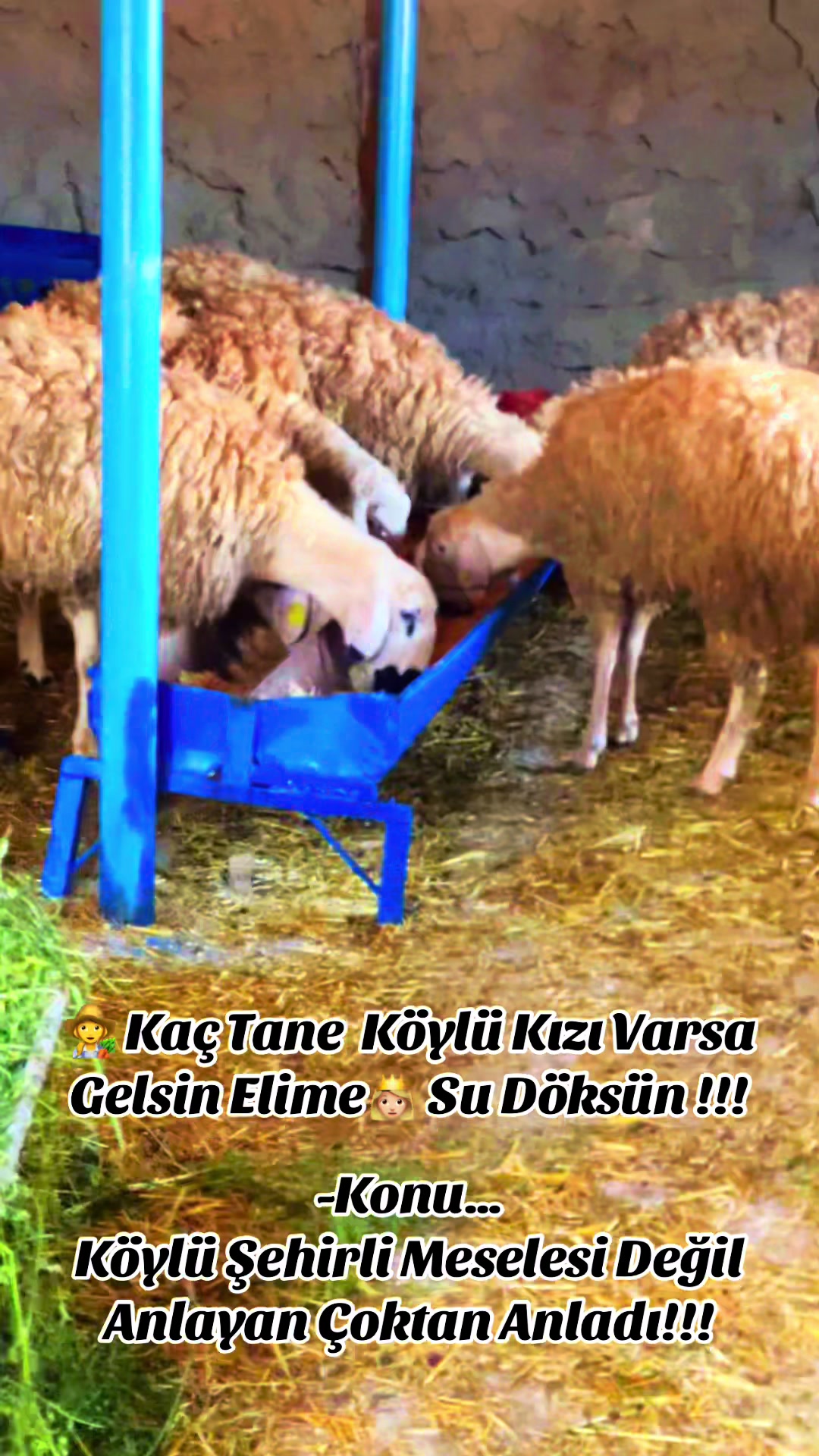 @⭐️⭐️⭐️SARI FIRTINA⭐️⭐️⭐️