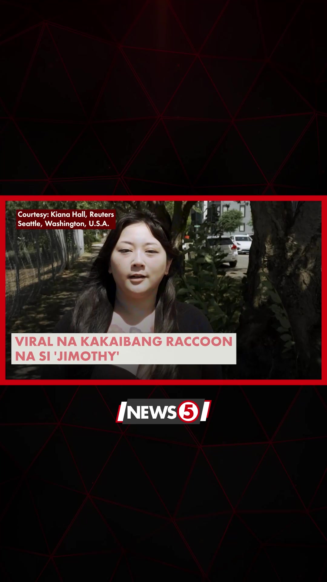 @News5
