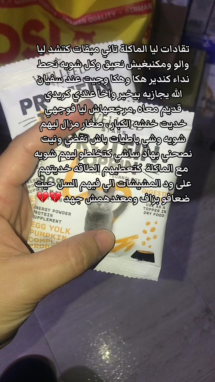 @๐๐ฑ Whiskers Rescue