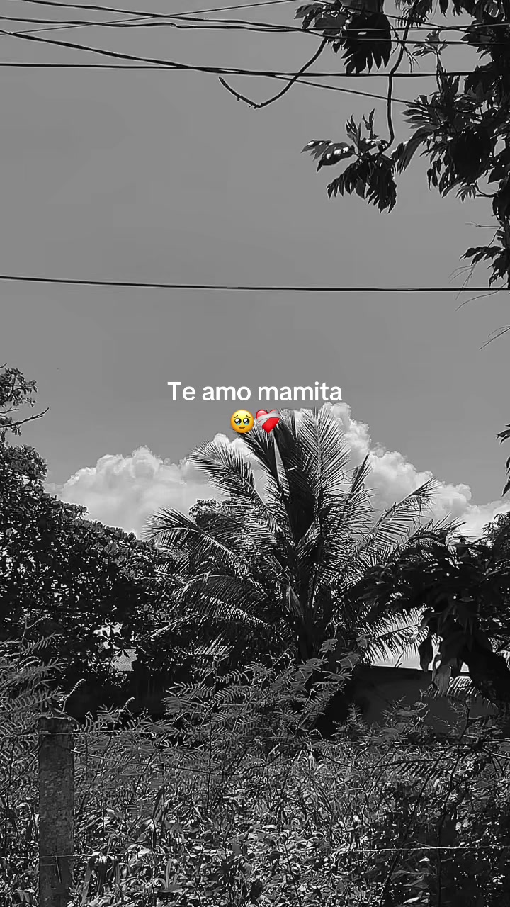 @edryc y—-23👤🪐502💙❤️