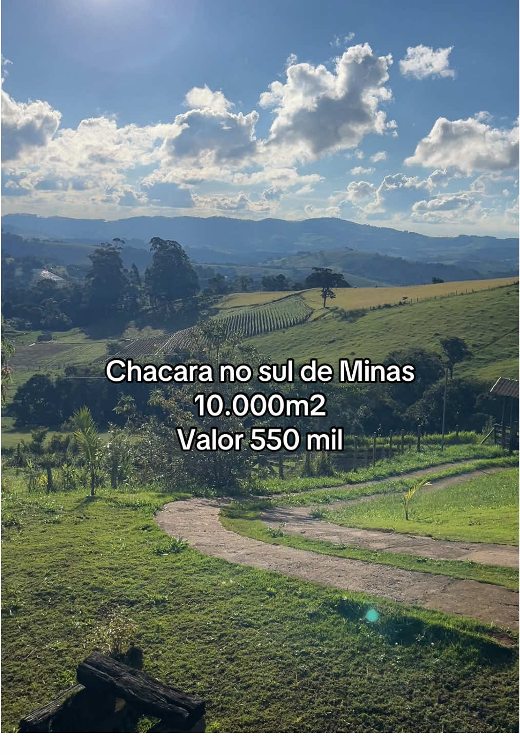 @fernando souza