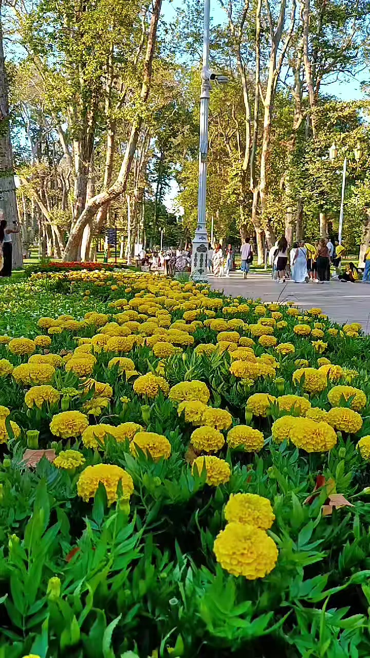 @37 Azdavay Bıyıklı Ali Kemal