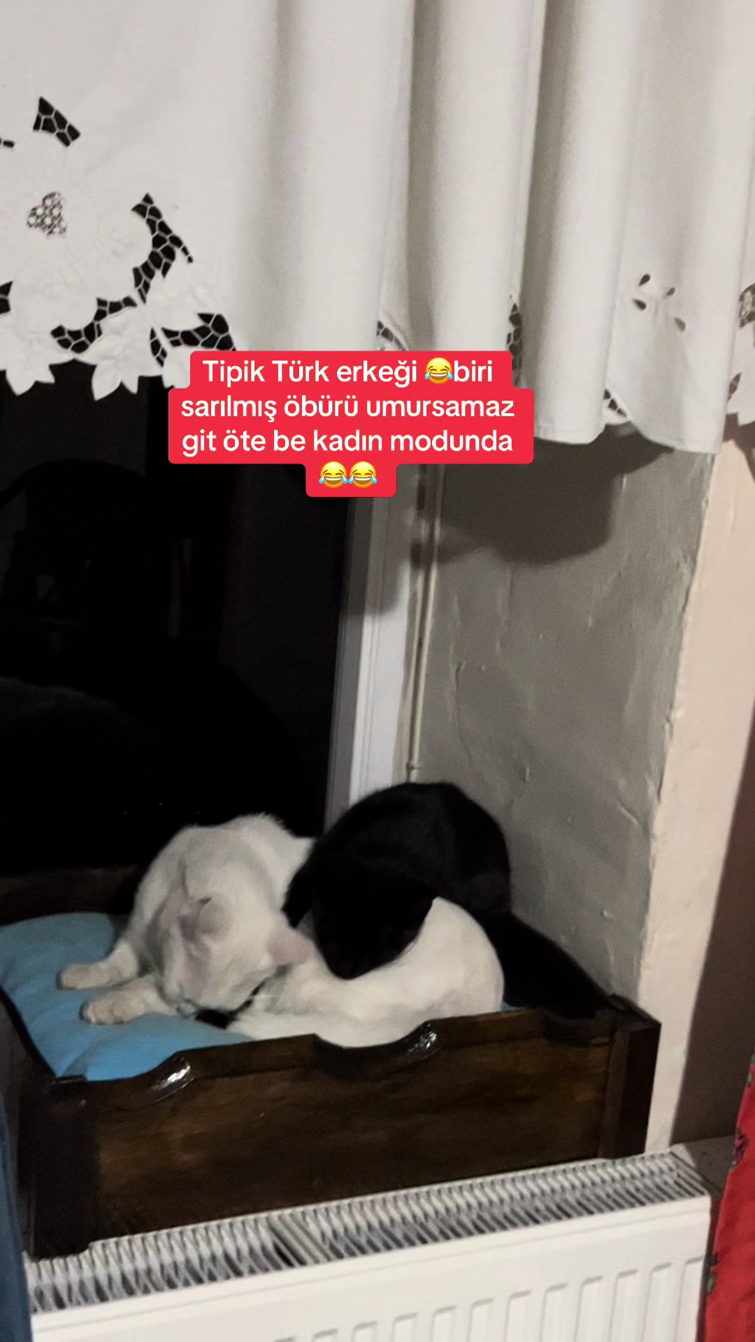 @&Ccedil;iğdem Altunbaş