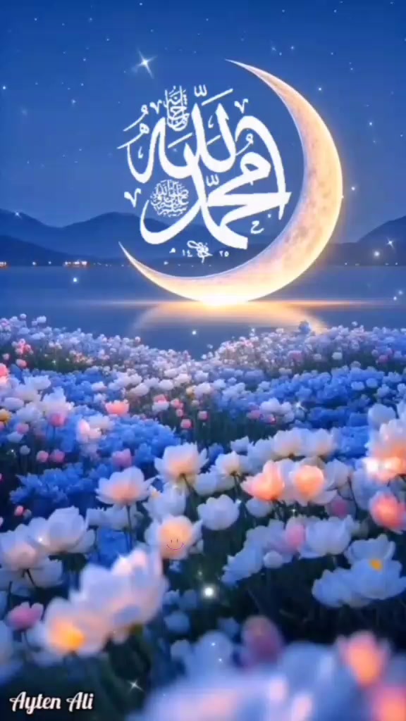 @Zeenat Hamad