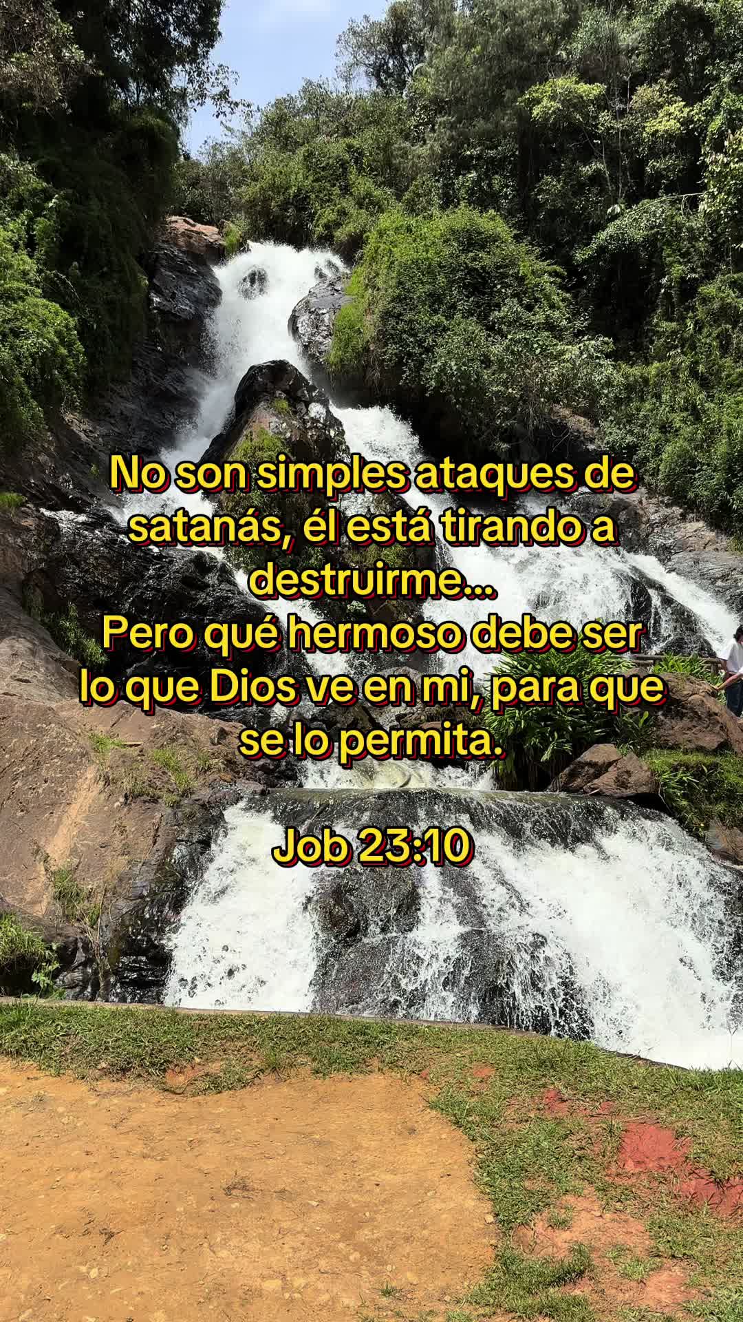 @Lina Villamil