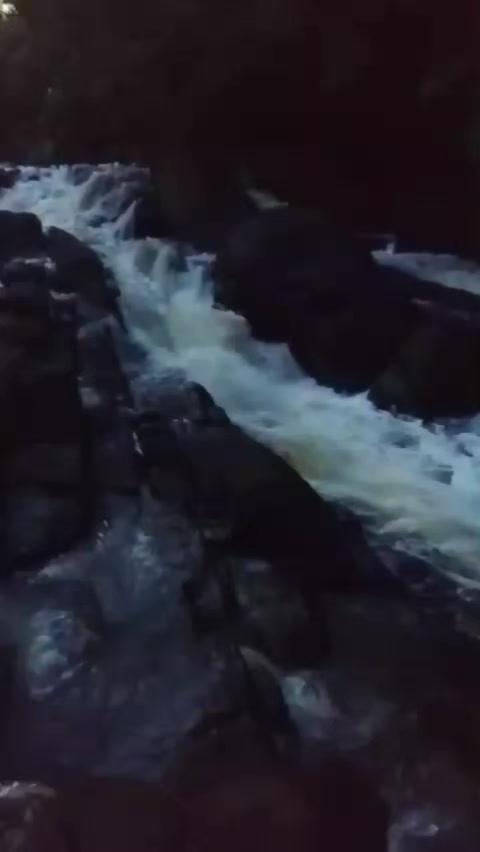 @Caçador raiz
