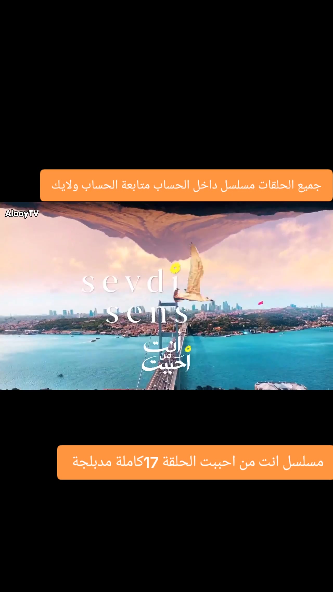 @مسلسل انت من احببت مدبلج