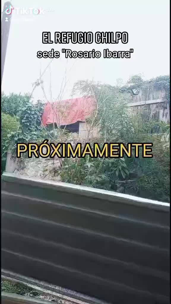 @Cézar Lupus
