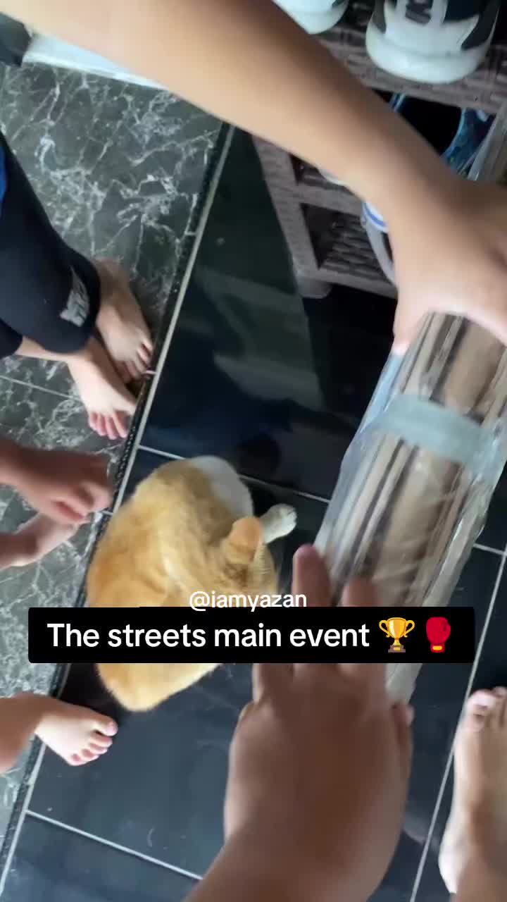 @IamYazan